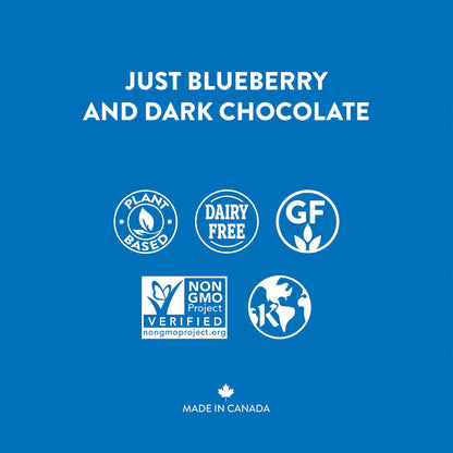 Dark Chocolate Covered Blueberries - 20 Pack